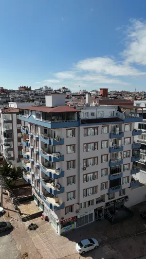 Lila Apt.