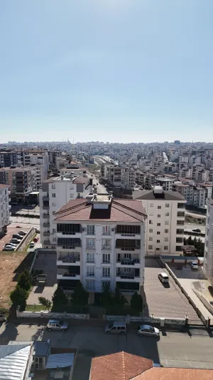 Papatya Apt.
